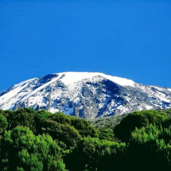 7 Days Mt. Kilimanjaro Trekking Via Rongai Route