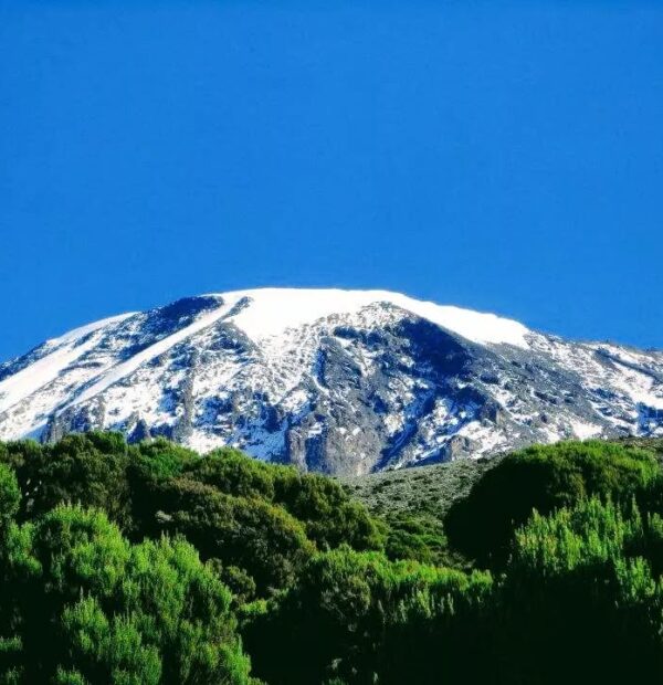 7 Days Mt. Kilimanjaro Trekking Via Rongai Route