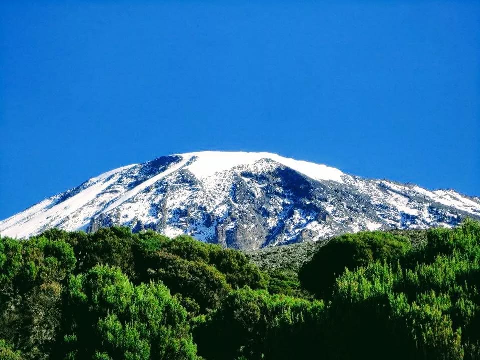 7 Days Mt. Kilimanjaro Trekking Via Rongai Route