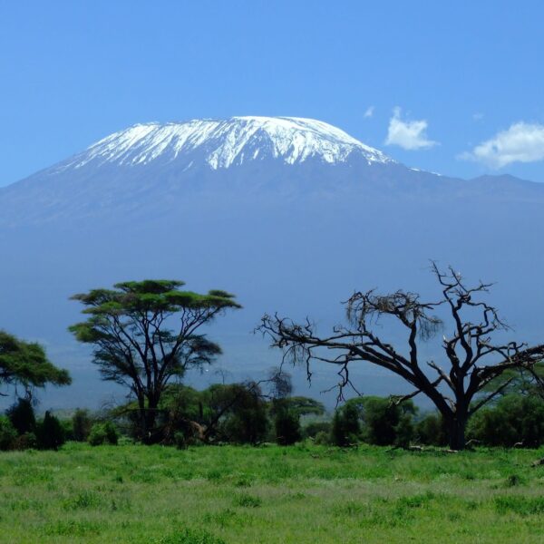 8 Day Mt. Kilimanjaro Trekking Via – Lemosho Route