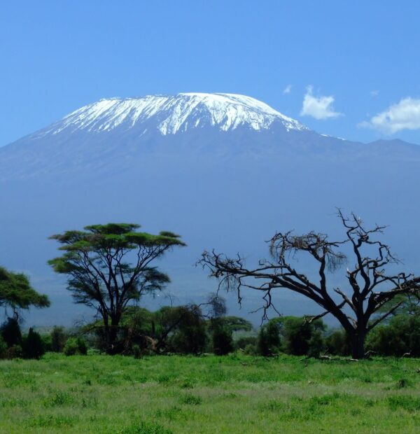8 Day Mt. Kilimanjaro Trekking Via – Lemosho Route