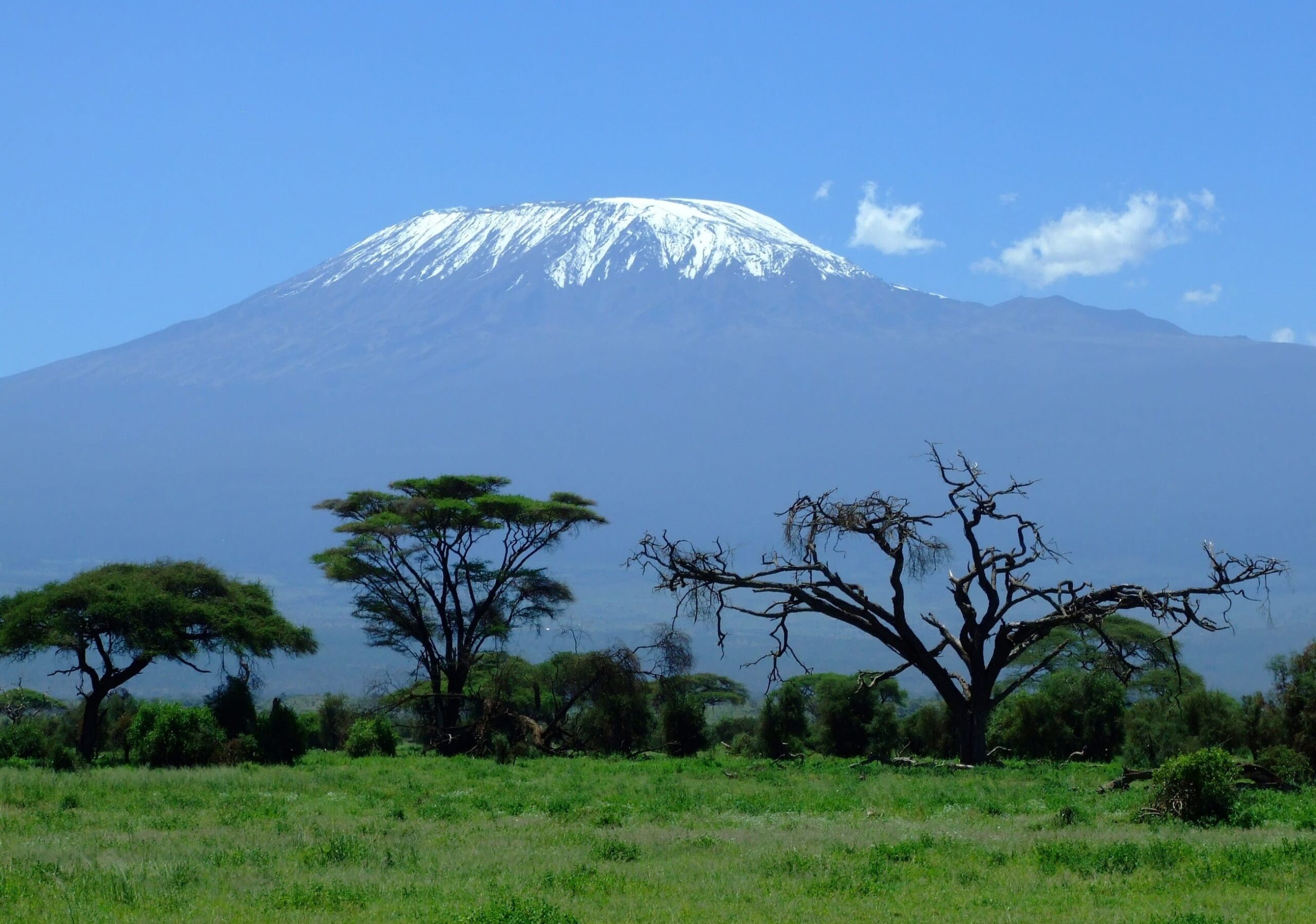 8 Day Mt. Kilimanjaro Trekking Via – Lemosho Route