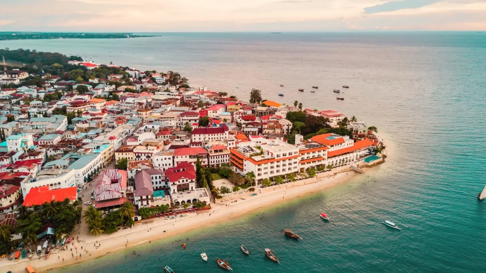 10 Days Zanzibar & Nyerere National Park