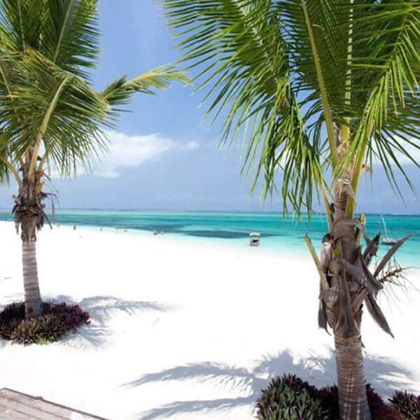 Best things to Do in Kendwa Beach Zanzibar