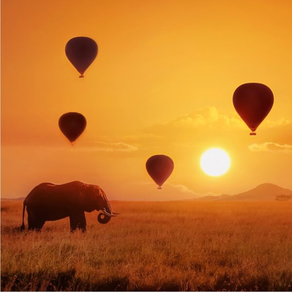 Balloon Safaris