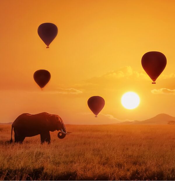 Balloon Safaris