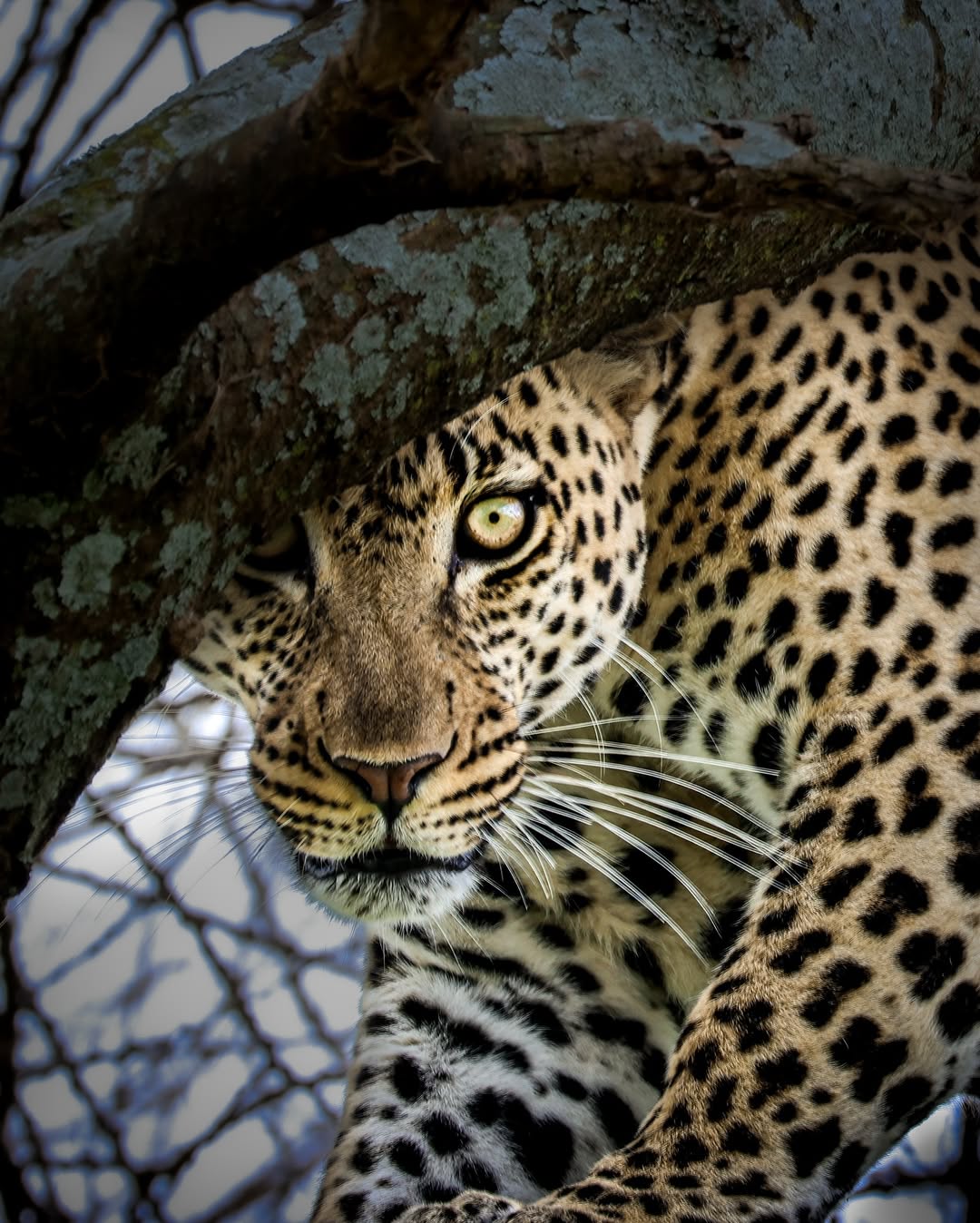 3-Day Fly-in from Zanzibar