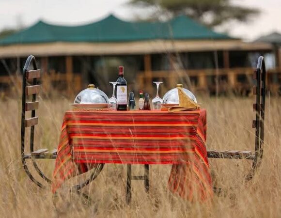 4-Day Classic Tour to Tarangire, Serengeti & Ngorongoro