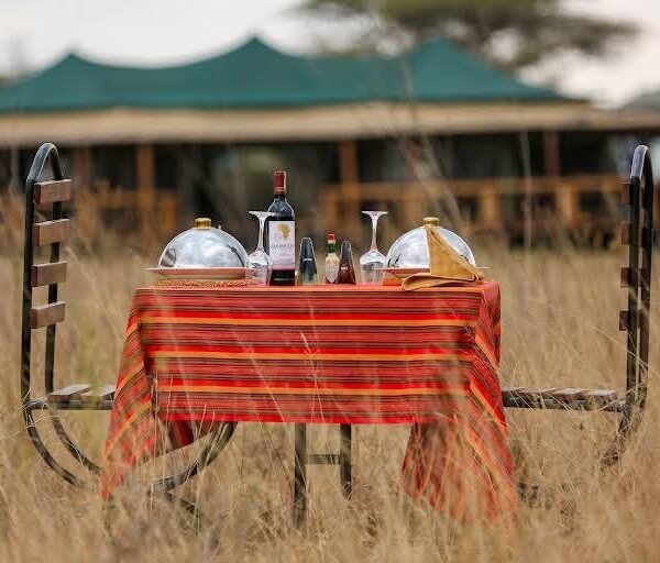 4-Day Classic Tour to Tarangire, Serengeti & Ngorongoro