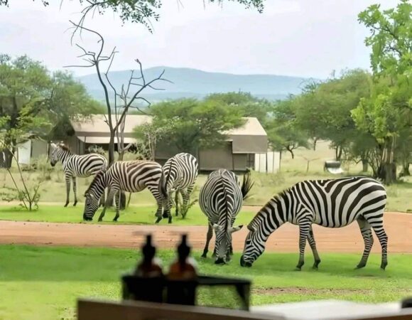 12 - Day Golden Romantic Safari and beach holiday