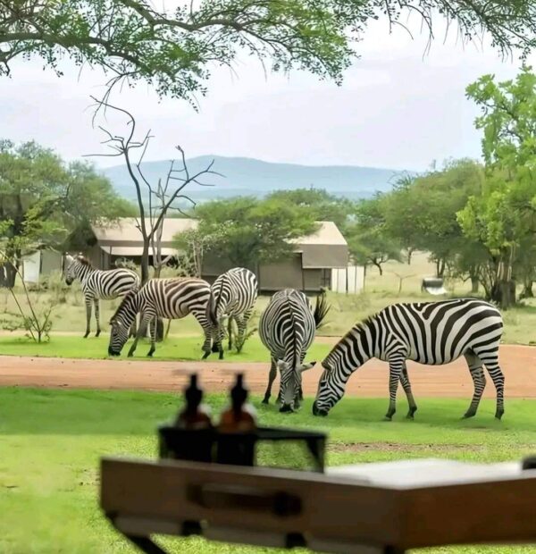 12 - Day Golden Romantic Safari and beach holiday