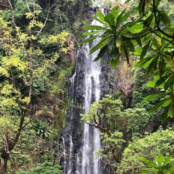 Materuni Waterfall and Village Coffee Farm Tour