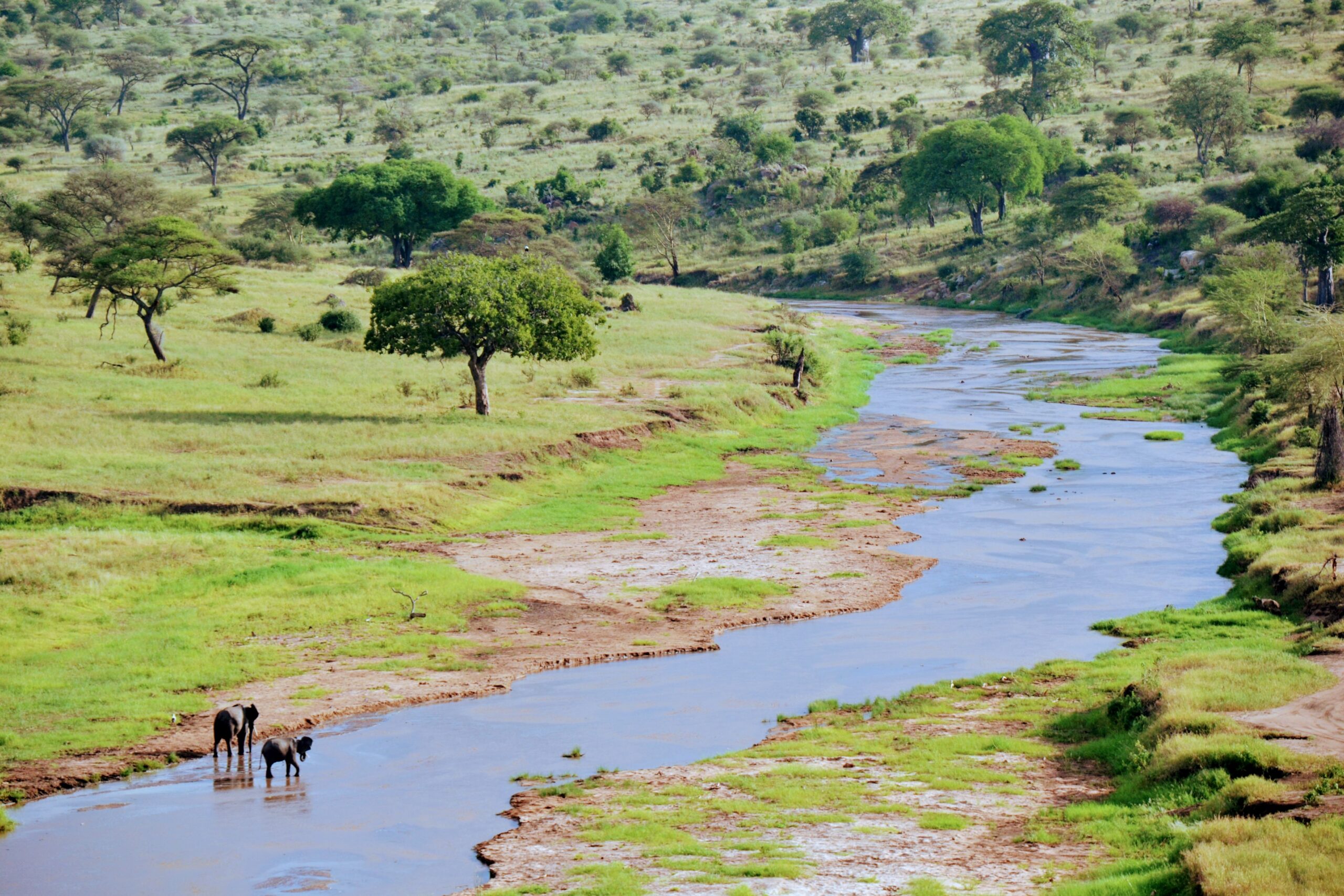 Tarangire National Park Day Tour
