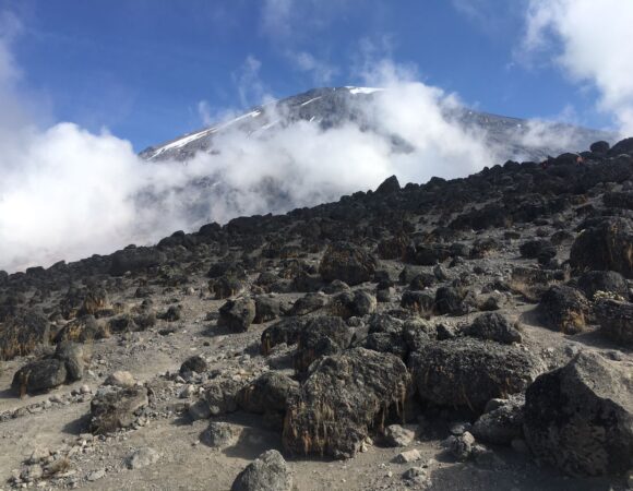 Mount Kilimanjaro Day Hikes