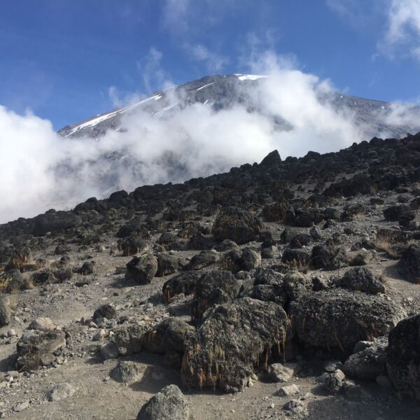 Mount Kilimanjaro Day Hikes
