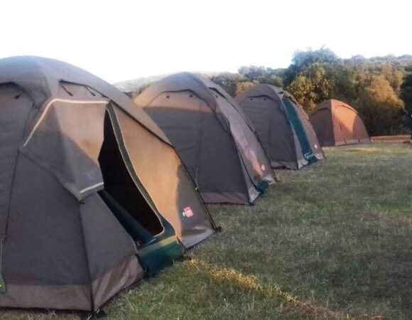 5-Day Group Joining Camping Safari