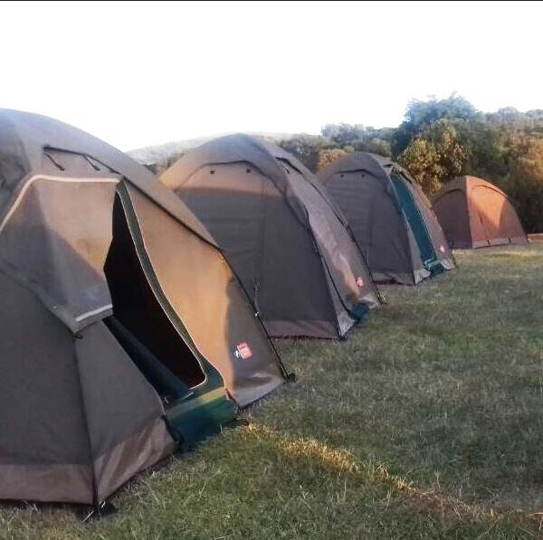 5-Day Group Joining Camping Safari