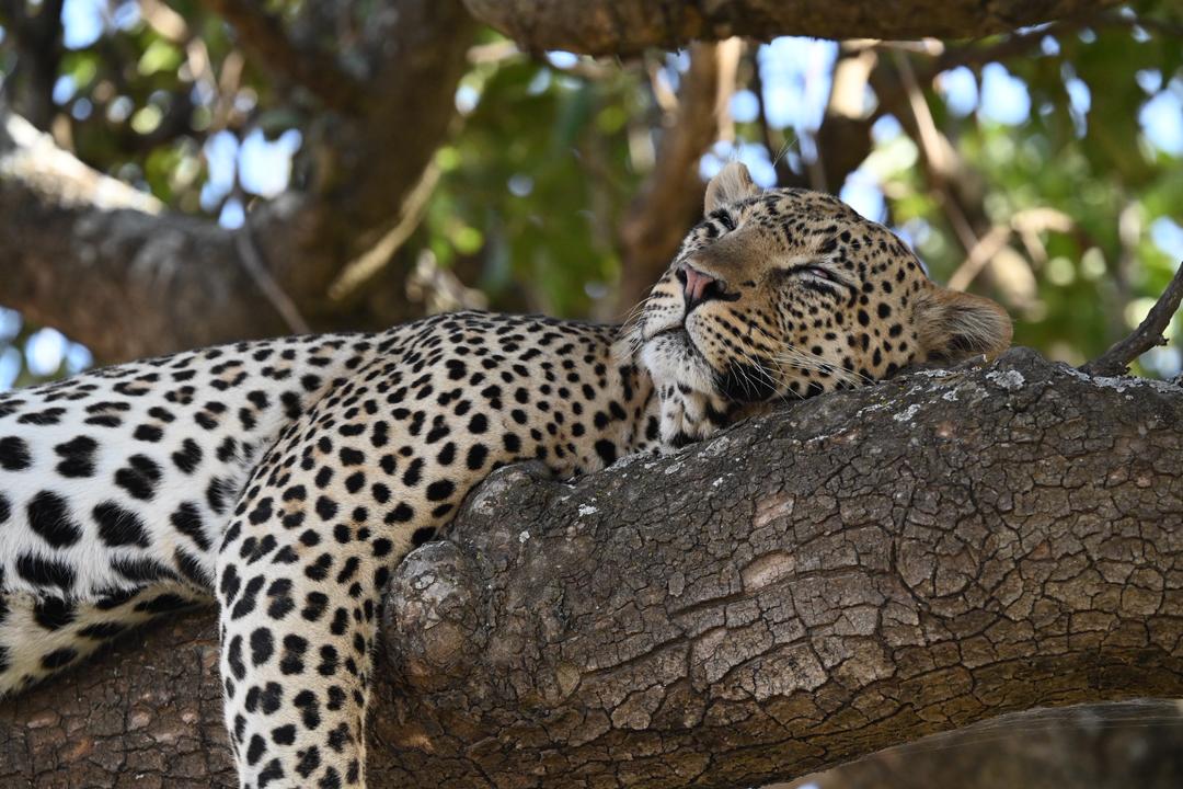 7-Day Cradle of Nature Safari