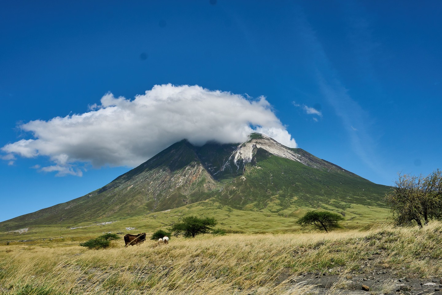 4-Day Climb Oldoinyo Lengai Mountain