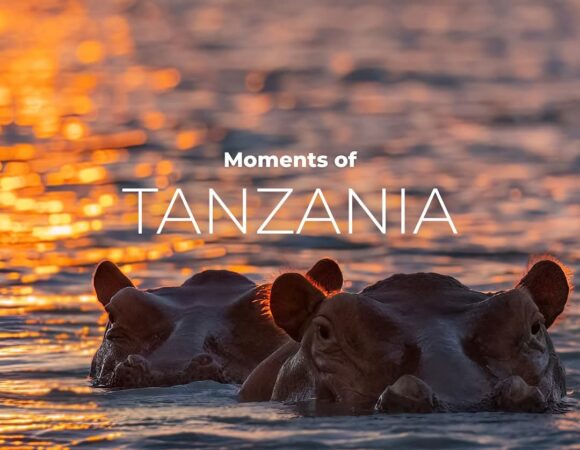 12-Day Win Tanzania Safaris Golden Photography Package