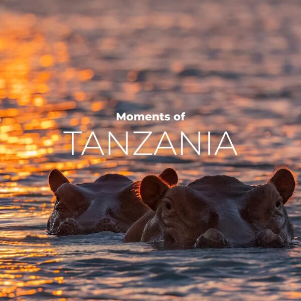 12-Day Win Tanzania Safaris Golden Photography Package