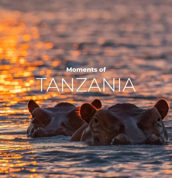 12-Day Win Tanzania Safaris Golden Photography Package